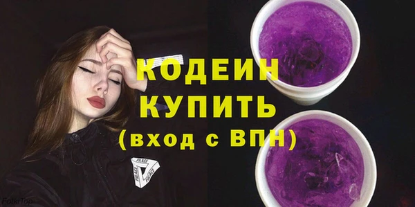 индика Костерёво