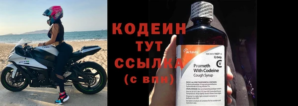 индика Костерёво