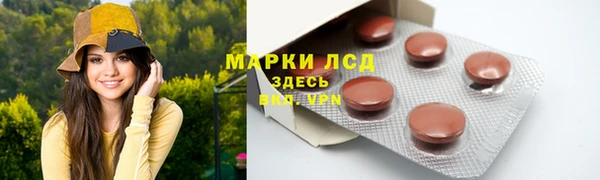 ПСИЛОЦИБИНОВЫЕ ГРИБЫ Корсаков