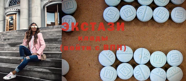 индика Костерёво