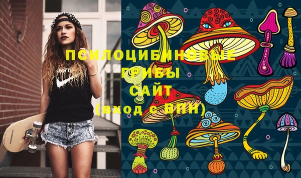 ПСИЛОЦИБИНОВЫЕ ГРИБЫ Корсаков