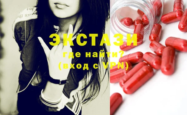 индика Костерёво
